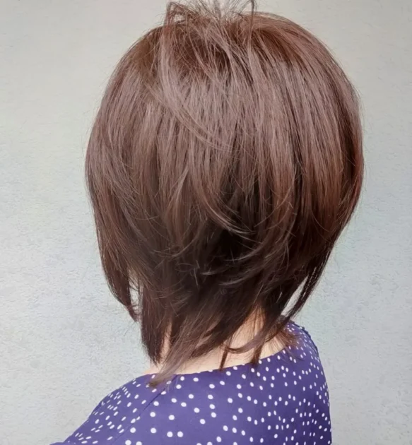 人毛MIXサラを着用するにゃんた(後ろから2)